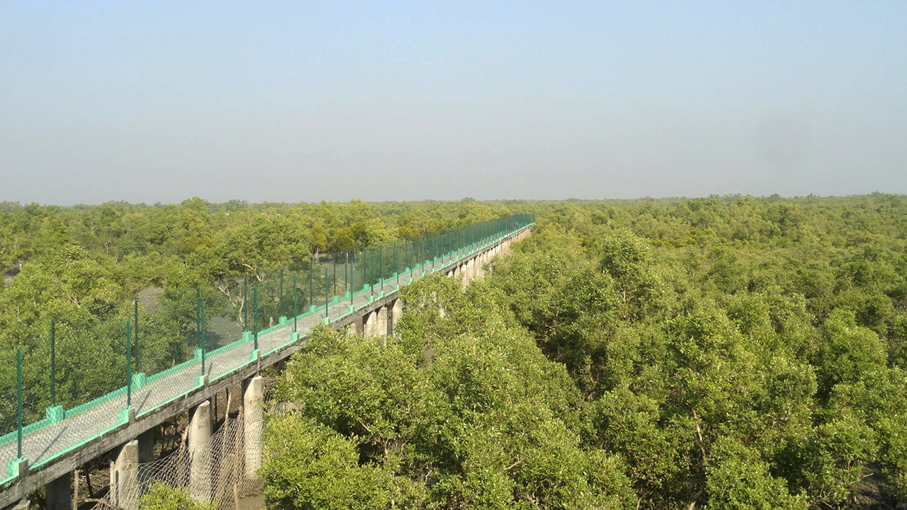 sundarban