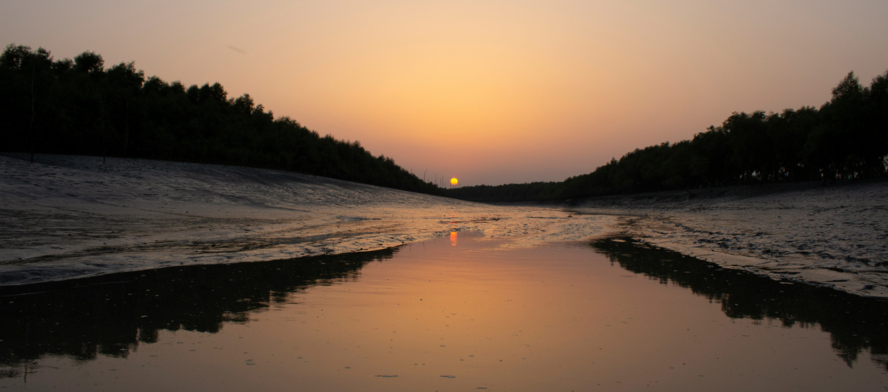 Best Tour Operators - Sundarban