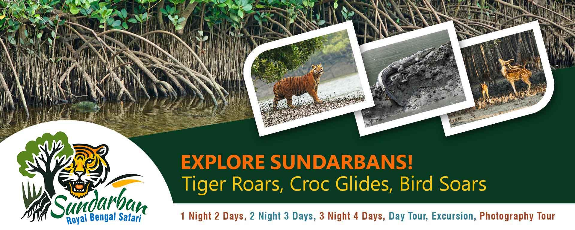 Explore Sundarbans